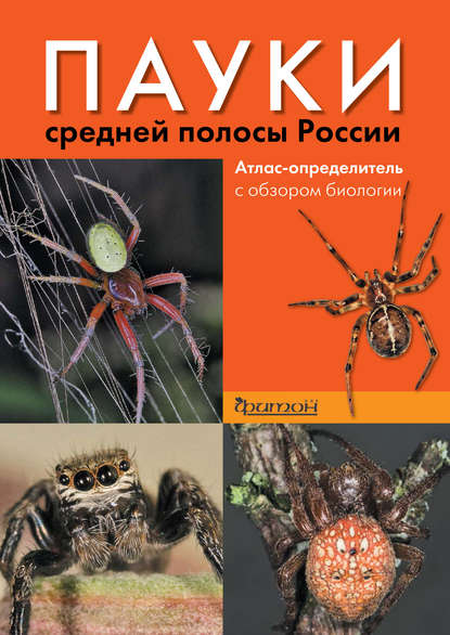 Пауки средней полосы России. Атлас-определитель с обзором биологии