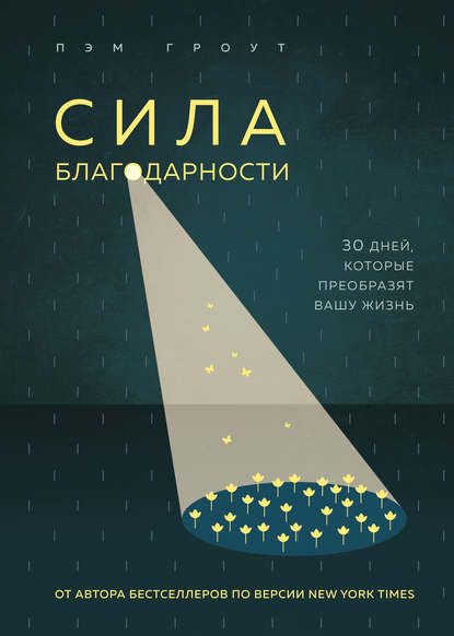 Благодари и богатей. 30-дневный эксперимент по преображению жизни