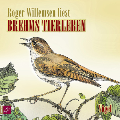 Alfred E. Brehm — Brehms Tierleben - V?gel