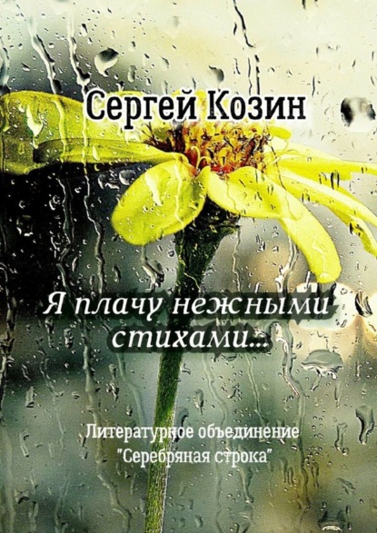 

Я плачу нежными стихами… Литературное объединение «Серебряная строка»
