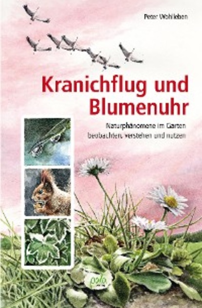 Peter Wohlleben — Kranichflug und Blumenuhr