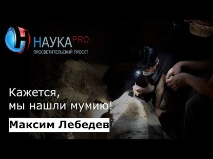 Кажется, мы нашли мумию!