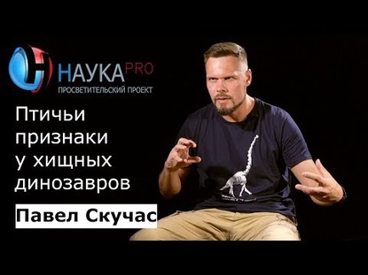 Птичьи признаки у хищных динозавров