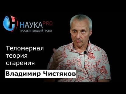 Теломерная теория старения