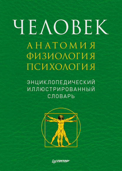 Человек: анатомия, физиология, психология. Энциклопедический иллюстрированный словарь