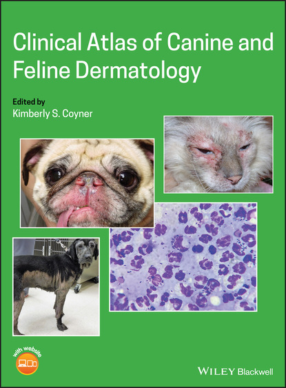 Группа авторов — Clinical Atlas of Canine and Feline Dermatology