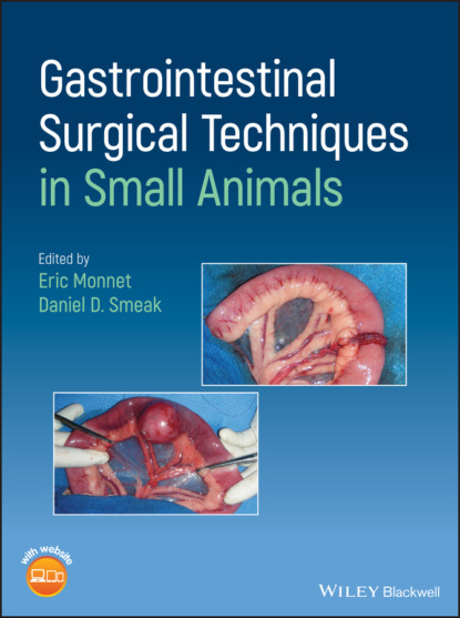 Группа авторов — Gastrointestinal Surgical Techniques in Small Animals