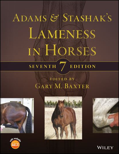 Группа авторов — Adams and Stashak's Lameness in Horses