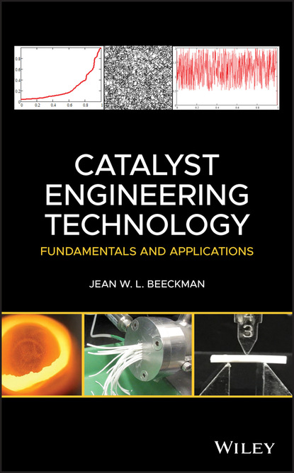 Jean W. L. Beeckman — Catalyst Engineering Technology