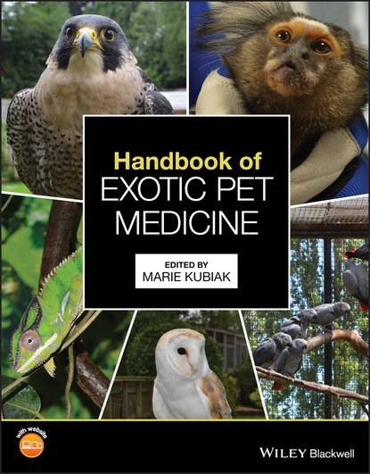 Группа авторов — Handbook of Exotic Pet Medicine