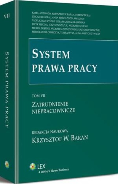 System prawa pracy. TOM VII. Zatrudnienie niepracownicze