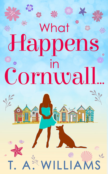 T A Williams — What Happens In Cornwall...