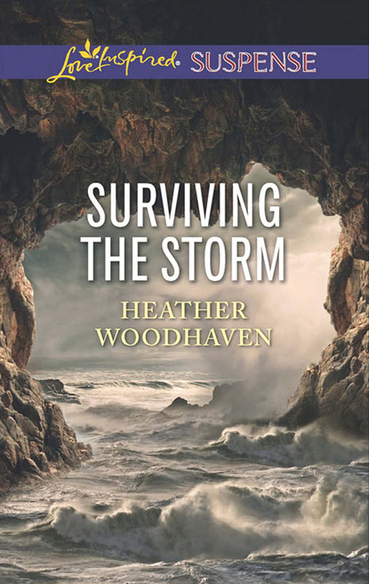 Surviving The Storm