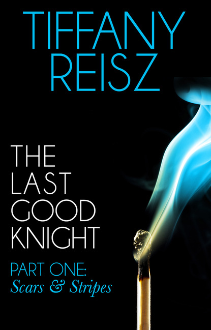 The Last Good Knight Part I: Scars and Stripes