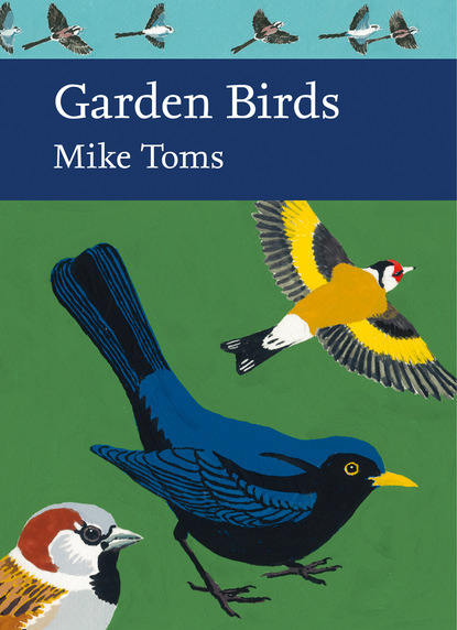 Mike Toms — Garden Birds