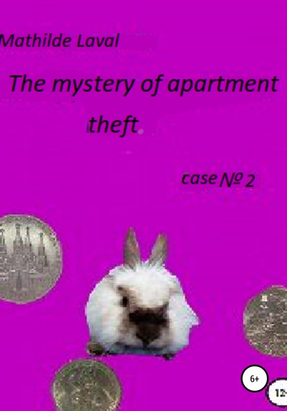 

The mystery of apartment theft