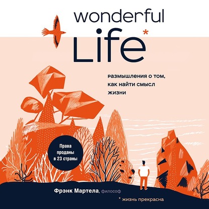 Wonderful Life. Размышления о том, как найти смысл жизни