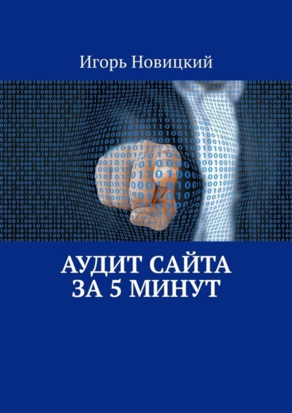 Игорь Новицкий — Аудит сайта за 5 минут