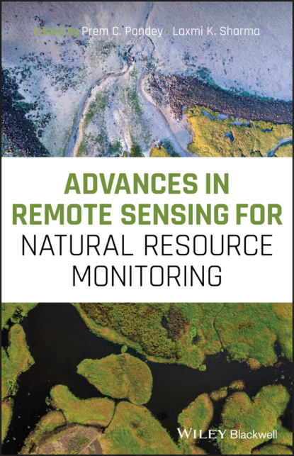 Группа авторов — Advances in Remote Sensing for Natural Resource Monitoring