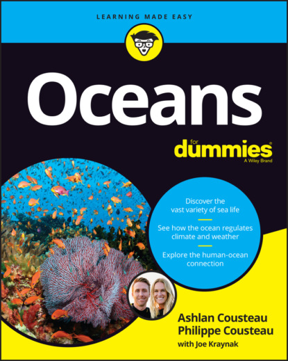 

Oceans For Dummies