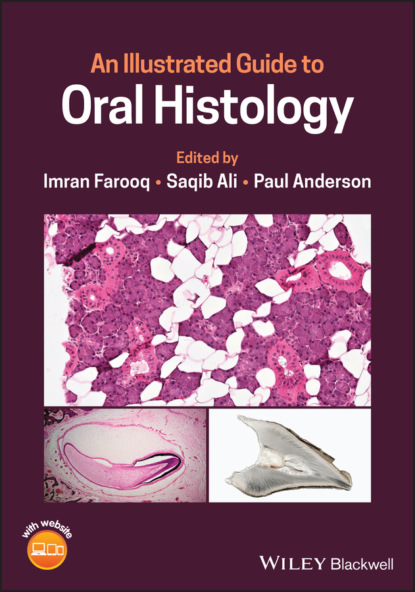 

An Illustrated Guide to Oral Histology