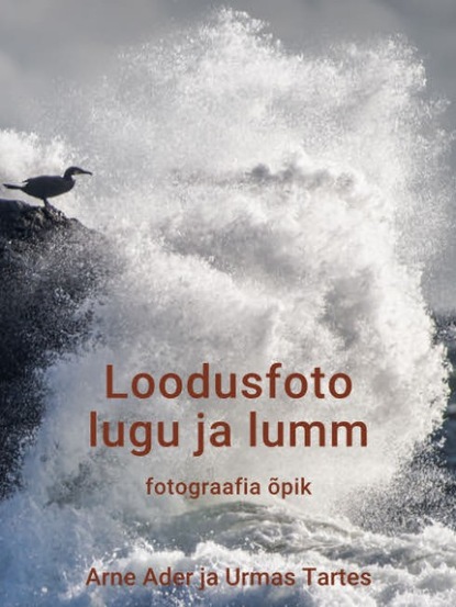 Loodusfoto lugu ja lumm