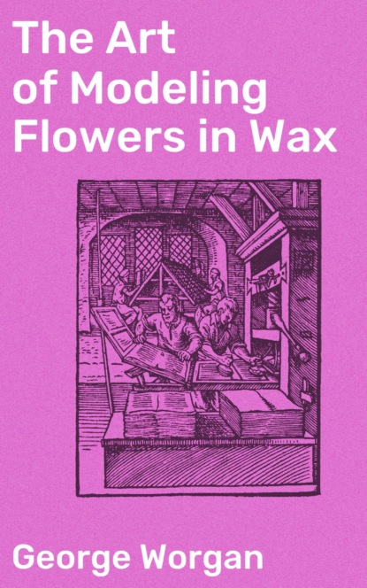 The Art of Modeling Flowers in Wax