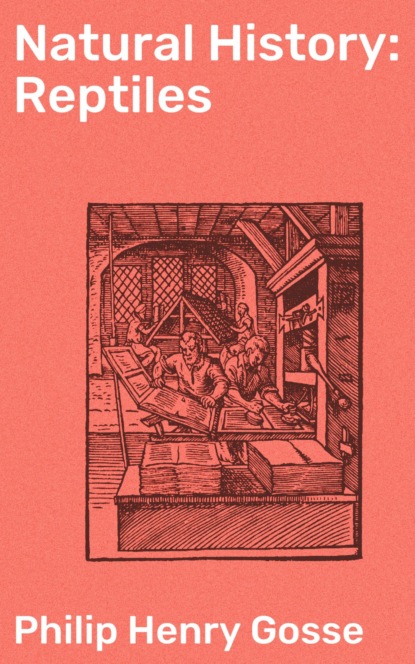Natural History: Reptiles