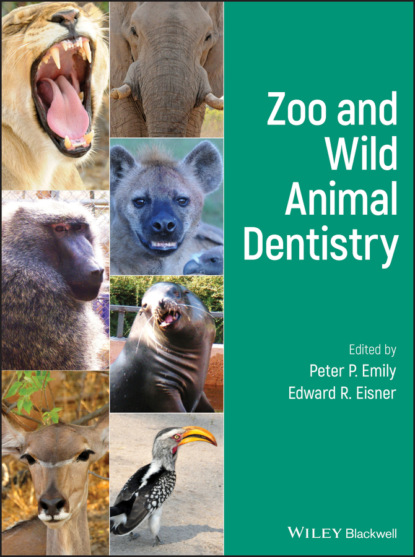 Группа авторов — Zoo and Wild Animal Dentistry