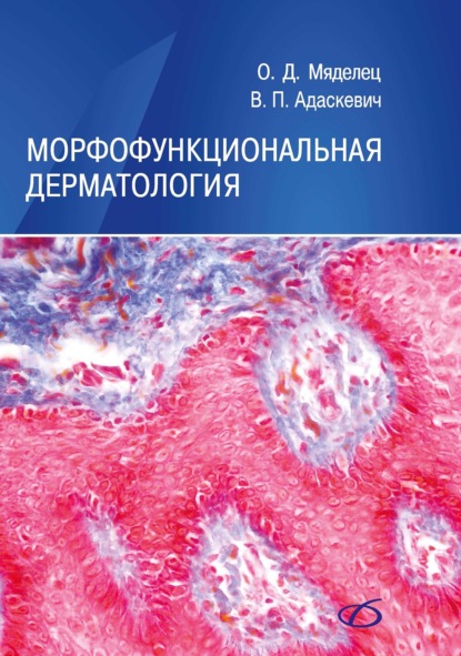 

Морфофункциональная дерматология