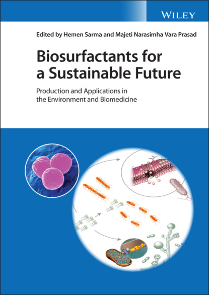 

Biosurfactants for a Sustainable Future