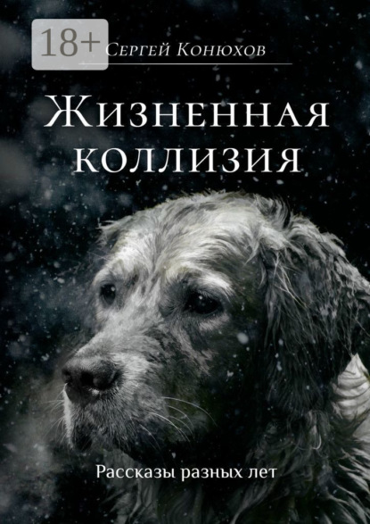 

Жизненная коллизия