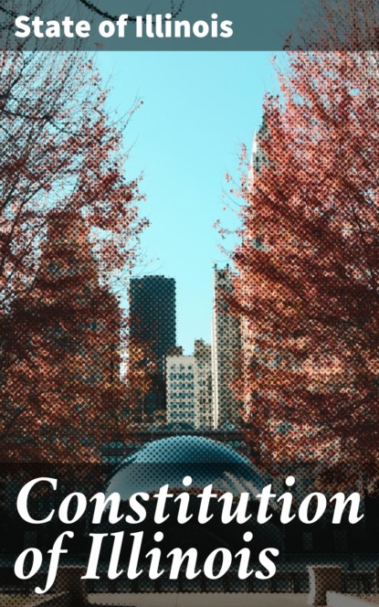 Constitution of Illinois