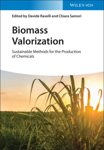 Группа авторов — Biomass Valorization