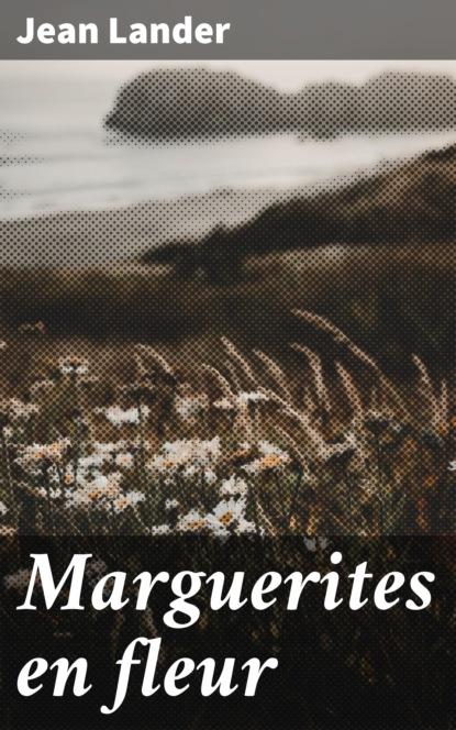 Marguerites en fleur