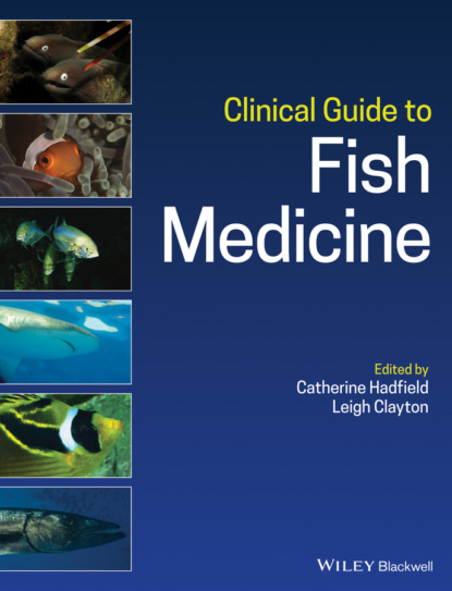 Группа авторов — Clinical Guide to Fish Medicine