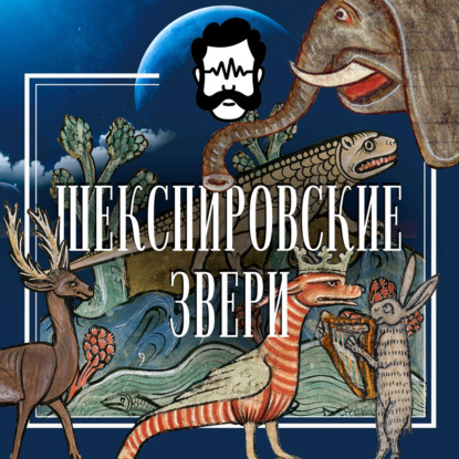 Охота на кота