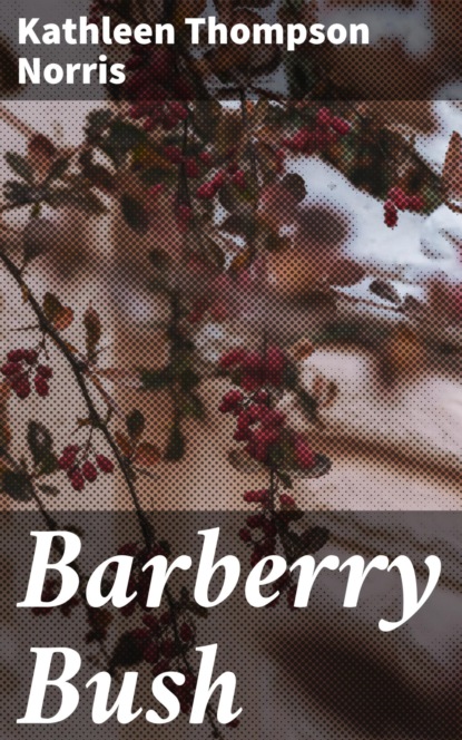Barberry Bush