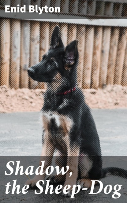 Shadow, the Sheep-Dog