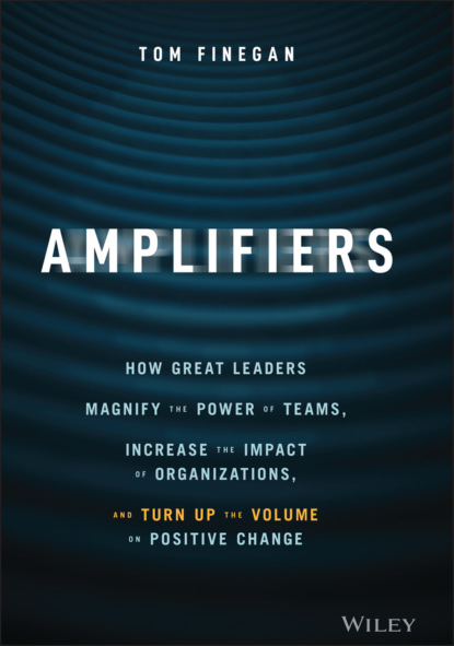 Tom Finegan — Amplifiers