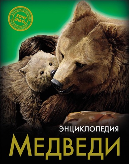 

Медведи