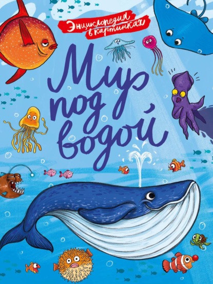 

Мир под водой