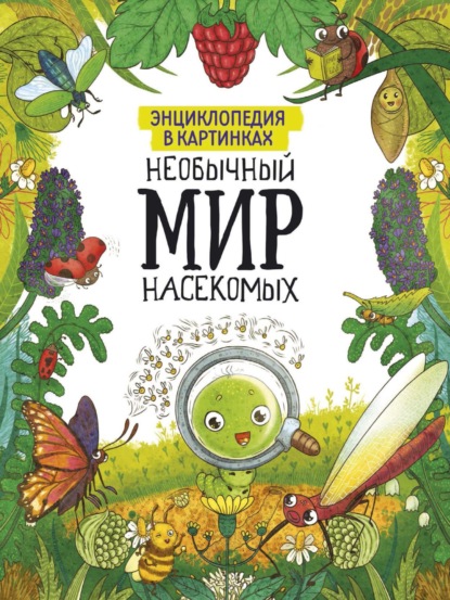 

Необычный мир насекомых