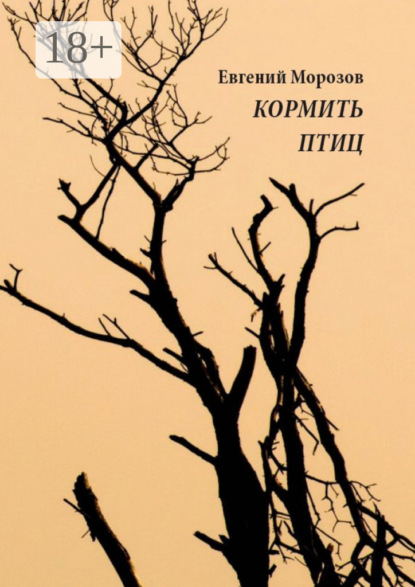 

Кормить птиц