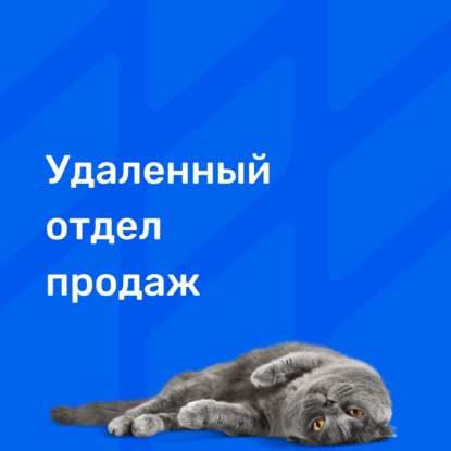 В каких нишах можно создать удаленный отдел продаж?