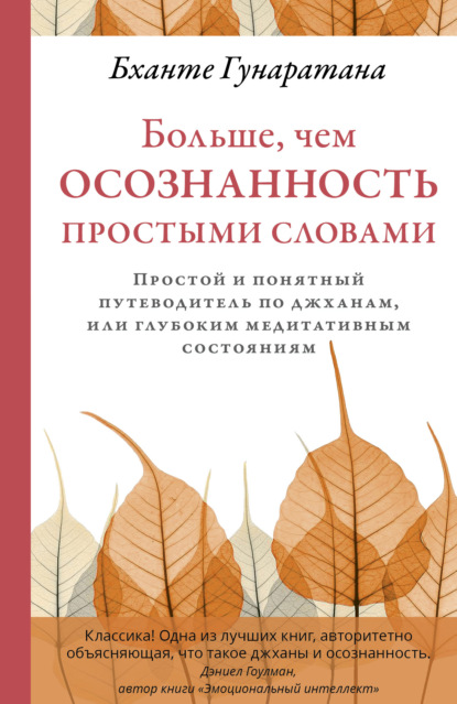 

Больше, чем осознанность простыми словами. Простой и понятный путеводитель по джханам, или глубоким медитативным состояниям