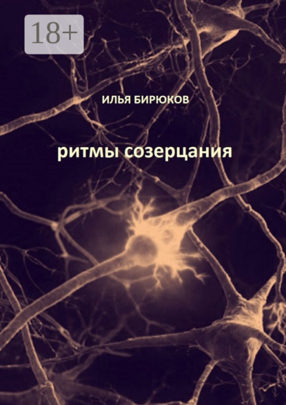 

Ритмы созерцания