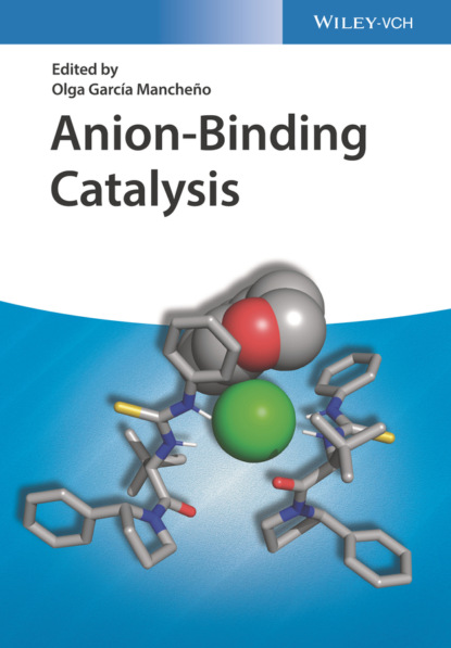 Группа авторов — Anion-Binding Catalysis