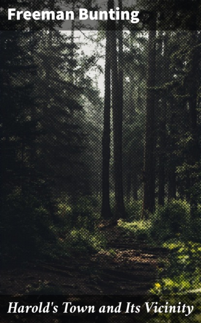 Harold's Town and Its Vicinity