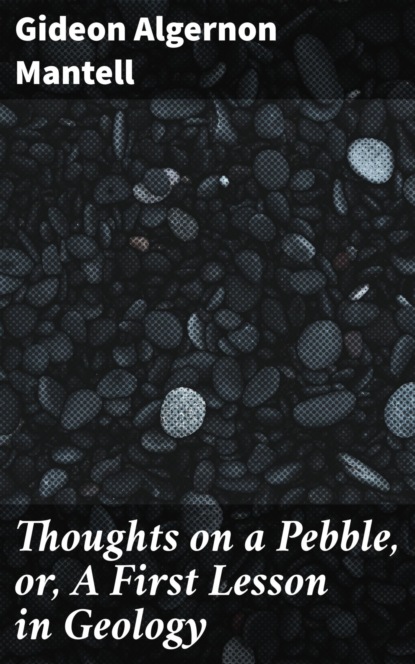 Thoughts on a Pebble, or, A First Lesson in Geology
